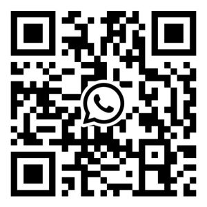 shanghai escort girls