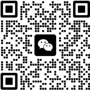 shanghai escorts